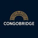 Congo bridge